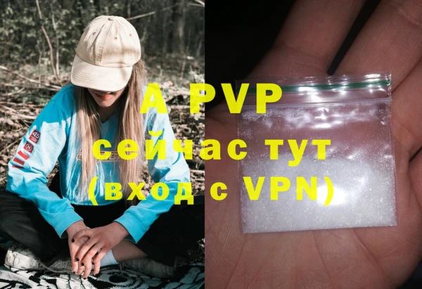 спиды Майский