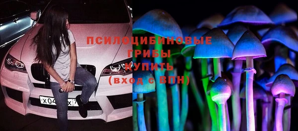 спиды Майский